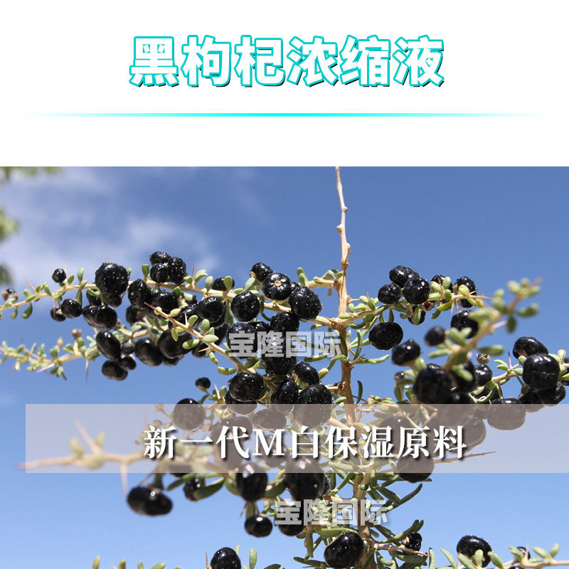 黑枸杞浓缩液 黑枸杞花青素 护肤 化妆品原料 1kg