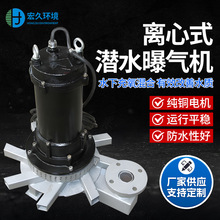定制离心曝气机 污水厂沉砂池气浮池曝气搅拌设备厂家耐腐蚀高效