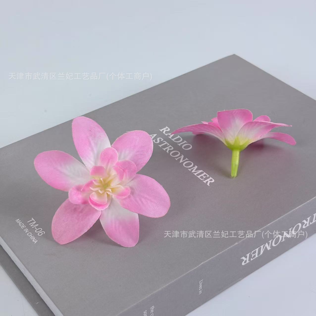 Orquídea de simulación cabeza de comida plato flor de corona de novia flor de pecho flor de muñeca hacer caja de regalo flor de ópera flor de pinza