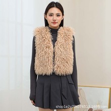 滩羊毛马甲2025秋冬新款高级感皮毛一体皮草马甲背心毛毛绒外套