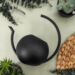 長嘴多肉澆花水壺不鏽鋼家用灑水壺黑色澆水壺園藝澆花壺養花1升