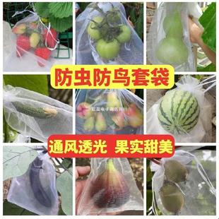 �W�����W�W����ϾW������ʯ��Ϲ����x�þW����ˮ���״������߹�