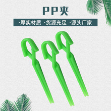 ���l���l����PP�A���b��λ�A�^�l�օ^�A���l��U�͊A���Ͻ���A