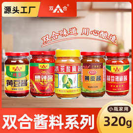 合集320g酱料包邮 双合冰花酸梅糟辣酱辣椒酱烧烤烧鸭蘸点调味品