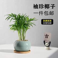 ����Ҭ�������҃�ֲ��С����������Ҭ���k��������Gֲɢβ���ļ�