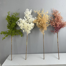 仿真秋色芦苇蒲草家居装饰千丝草婚庆用品仿真品质黄栌烟树珊瑚草