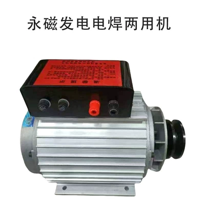Factory In-Stock Generator 220V Dc Brushless Small Permanent Magnet Dual-Purpose Generator Outdoor Portable Generator