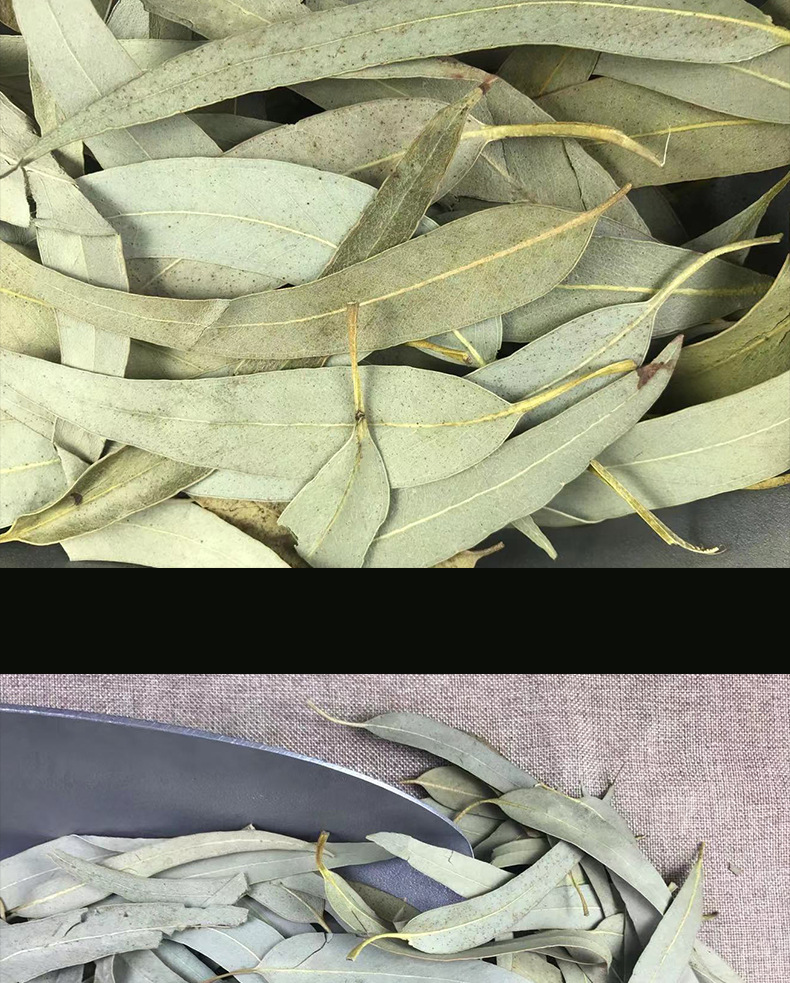 Dried Eucalyptus Leaf Granules An Ye 500g Bulk Herbal Tea Ingredient in use