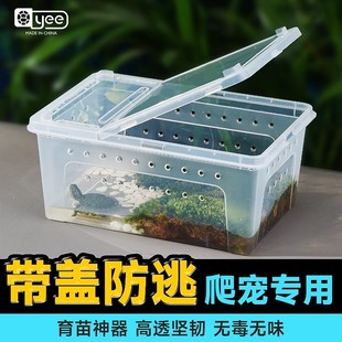YEE Reptile Feeding Box Tortoise Hibernation Box Palace-keeping Spider Scorpion Lizard Snail Pet Box Turtle Tank Cross-border