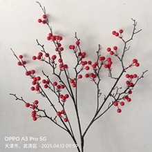 32�汱����涬����{���͏d�L֦�lؔ���t���̈��bS�����l�Y��