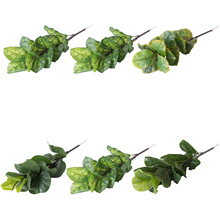 �����Ќ����^ɳ�������z���S