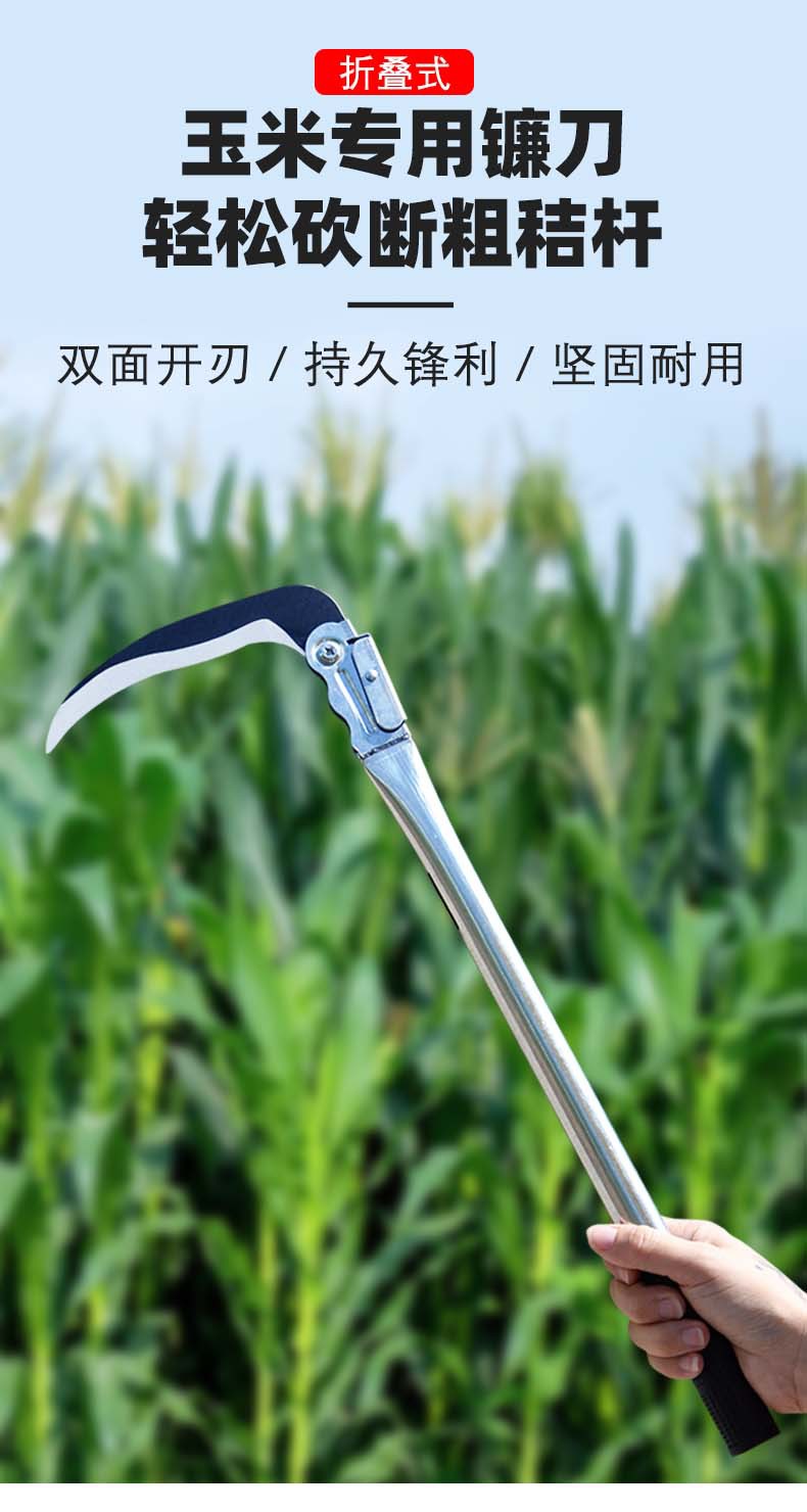 详情1