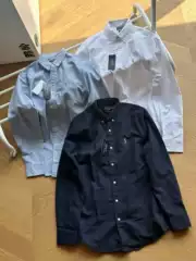 Cross-Border High-Quality Foreign Trade Single Pull Men's and Women's Pony Color Label Embroidered Long-Sleeved Oxford Casual Shirt