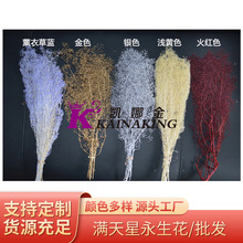 厂家批发满天星百万星永生花DIY花束七夕生日情人节圣诞礼物装饰