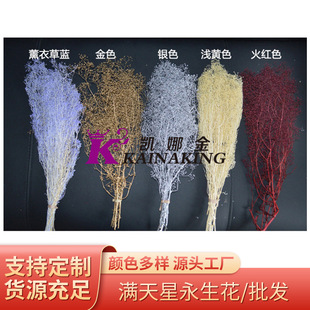 �S�����l�M���ǰ��f��������DIY������Ϧ�������˹��}�Q�Y���b�