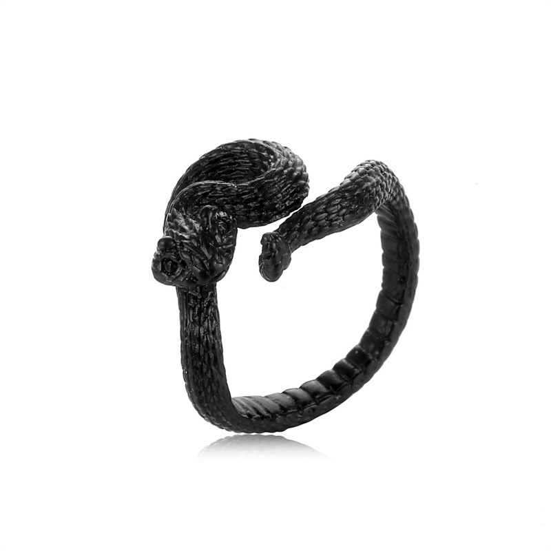 Hip-Hop Crown Skull Alloy Plating Unisex Open Rings display picture 5