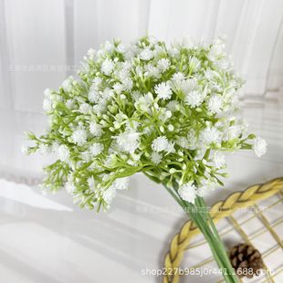 �M���Ƿ����֧�ٻ�����Ӳ�z�����»�c�����仨ˇ�Ҿ��b廨