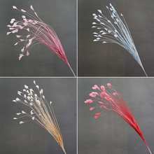 �¿��c�����ȸ���w��ݼٻ������Pβ���JȔ�쾰��ˇ�b�