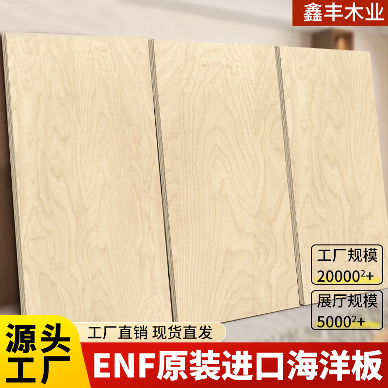 俄罗斯进口全桦木海洋板环保防潮胶合批发家具护墙规格齐全货源足|undefined
