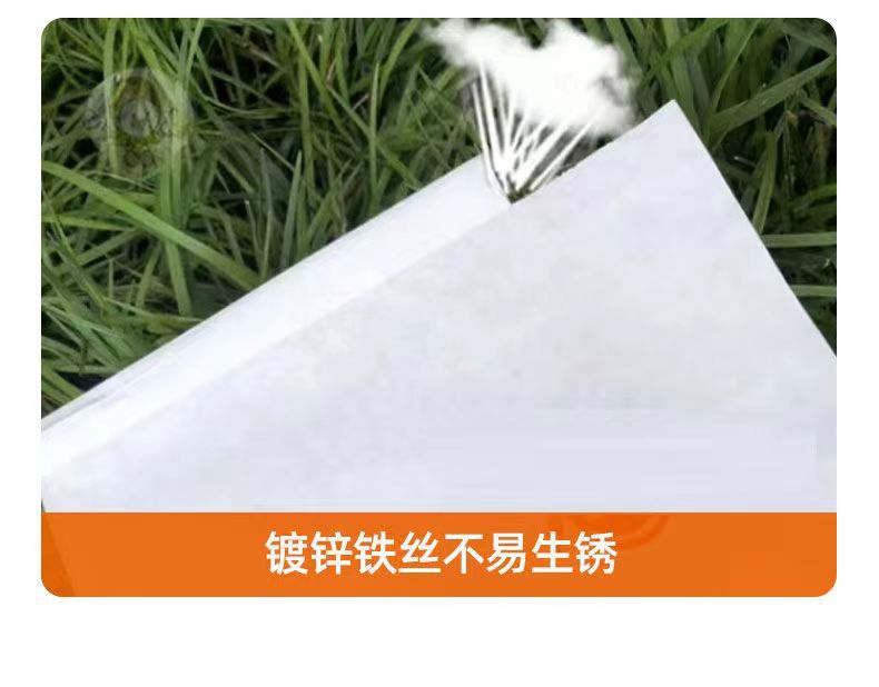 微信图片_20240702160923