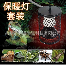 其他小宠用品;鸟类;宠物周边用品