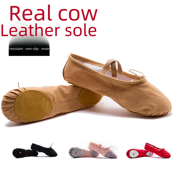 Adult Children Dance Shoes Women Wholesale Soft Bottom Practice Shoes Men's Cat Claw Shoes Dance Body Yoga Ballet Shoes