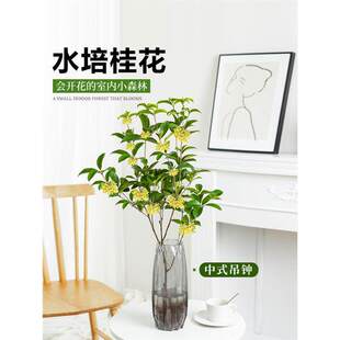 ˮ������Ԙ���ˮ�Bֲ���ļ����r�л��������҃Ⱥ��B�Gֲ����