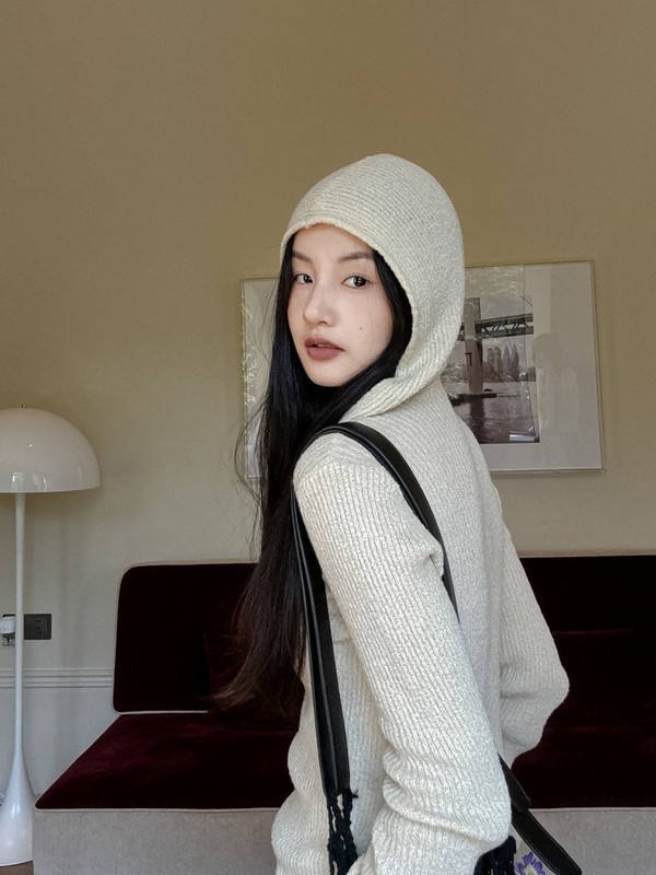 DIGM | 2025秋季废土风极简松弛感连帽修身针织衫毛衣女A3M017|undefined