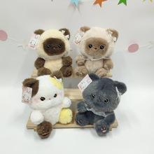 �ɐ�����ϵ��ë�q��߷���؈����鹫������؈�����޶Y�ͯ���