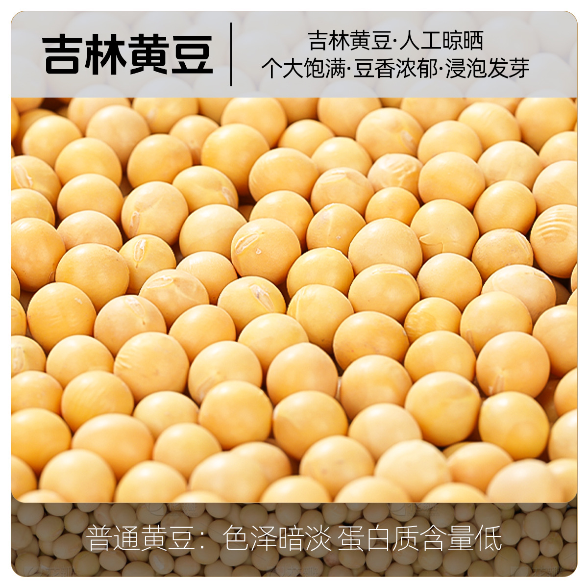 Three Bean Drink with Black Bean Mung Bean Soybean and Smoked Plum Summer Herbal Tea 435g key features