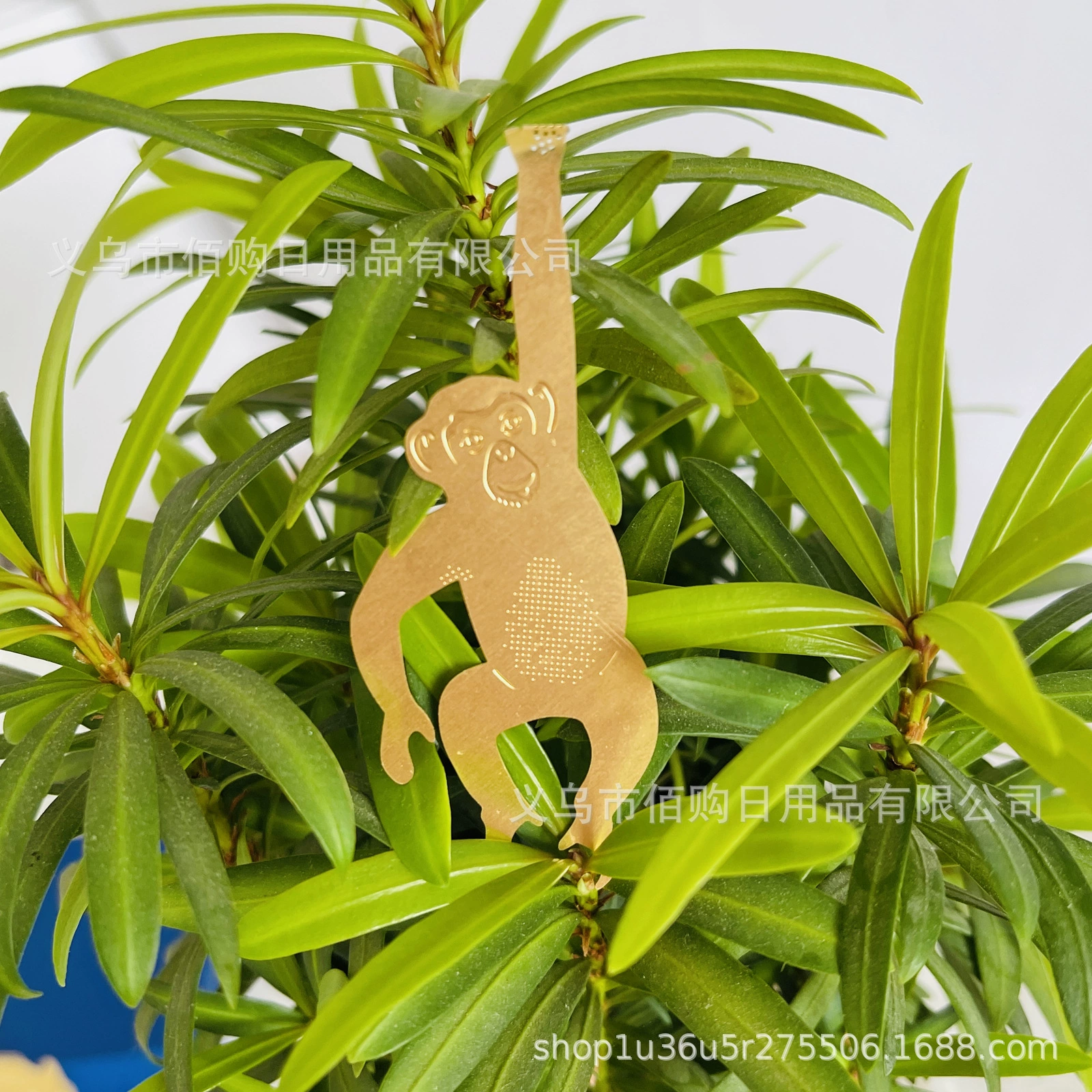 Творческая личность сад балкон милые животные кролик белка птица на открытом воздухе суккуленты цветочные горшки