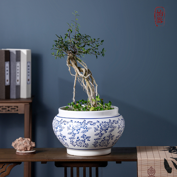 Blue and white ceramic flowerpot for home use for living room