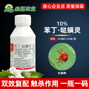 �����rș�r�Y�ꔳ����10%�����a�}�\�`�t֩�뚢�њ��x�\���t��