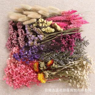 �������ɻ���ϲ��ϰ�DIY����N�����R�d��Ʒ���N��β�ݻ����ֹ�