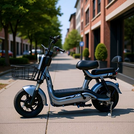 电动自行车