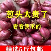 ���r�t�[�^���[�^5����[�^С�[�^С���[�ɼt�[�^ʳ���̏V�|�Ĵ�