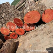 厂家热销红椿原木木材 加工古建工程家具红椿木板材防腐木料