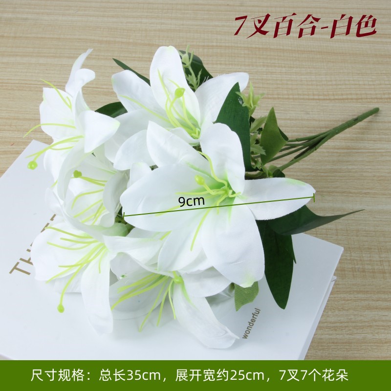 Lily white