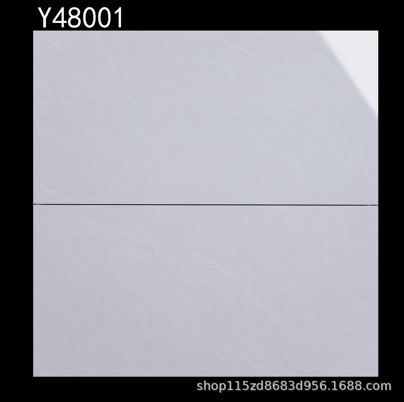 Y48001