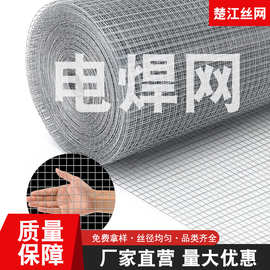 跨境网格片防鼠防蛇网五金布钢丝网园艺植物罩铁丝网镀锌电焊网