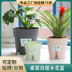 雙層自吸水懶人花盆塑料樹脂室內桌面水培綠蘿盆栽綠植多肉小花盆