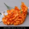5 Hydrangea-Orange