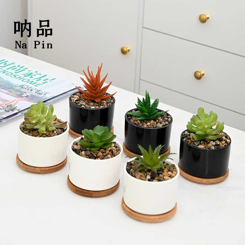 Внешнеторговый экспорт Napin специально для простого черно-белого маленького цилиндрического мясистого керамического цветочного горшка может добавить логотип