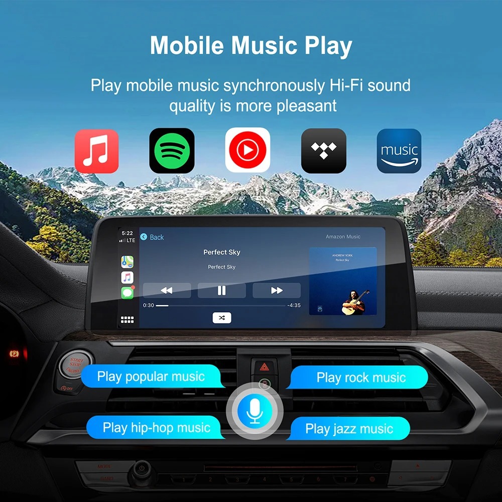 Wireless CarPlay Hicar Box for BMW with Backup Camera Support