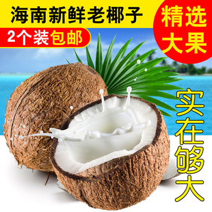 ����ˮ����Ҭ�ӳ����2����/��Ҭ��ëҬ������b���l