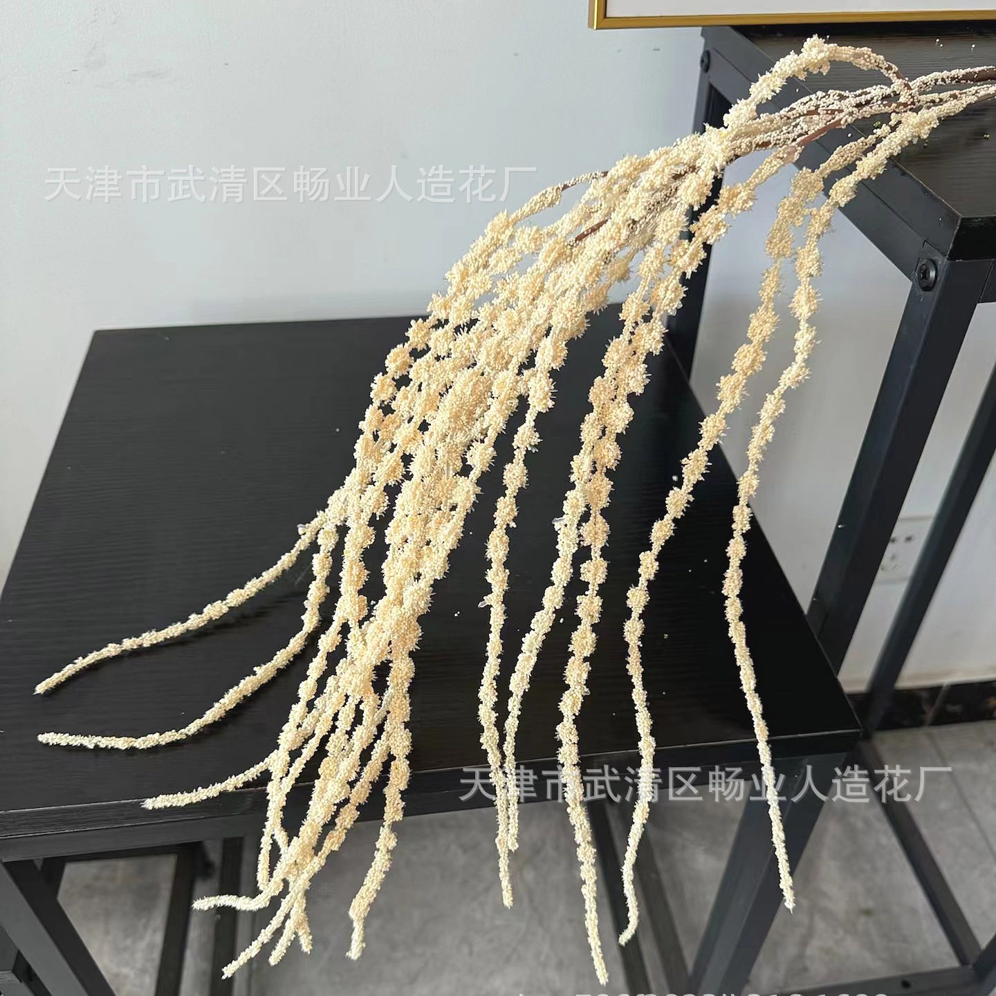 샴페인