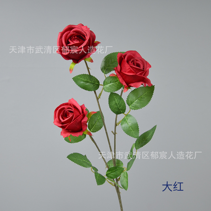 레드