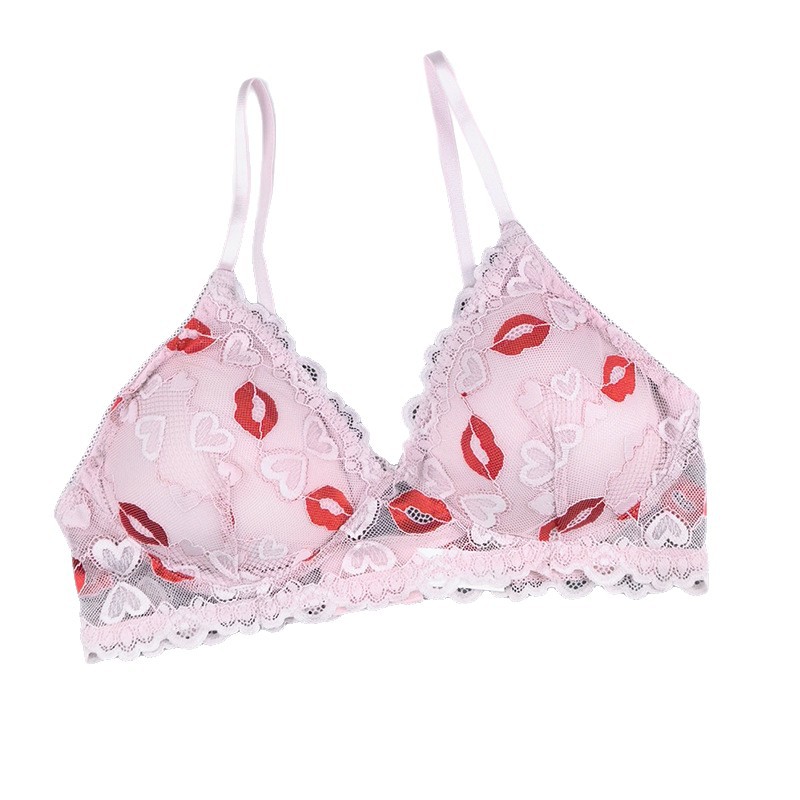 Transfronterizos tamaño europeo y americano marca labial de encaje transpirable delgado bordado damas bra comercio exterior bra Amazon al por mayor