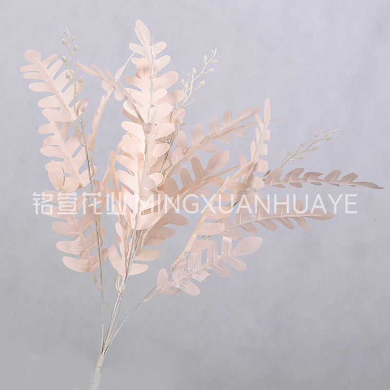 분홍색 - 아카시아 잎 다발