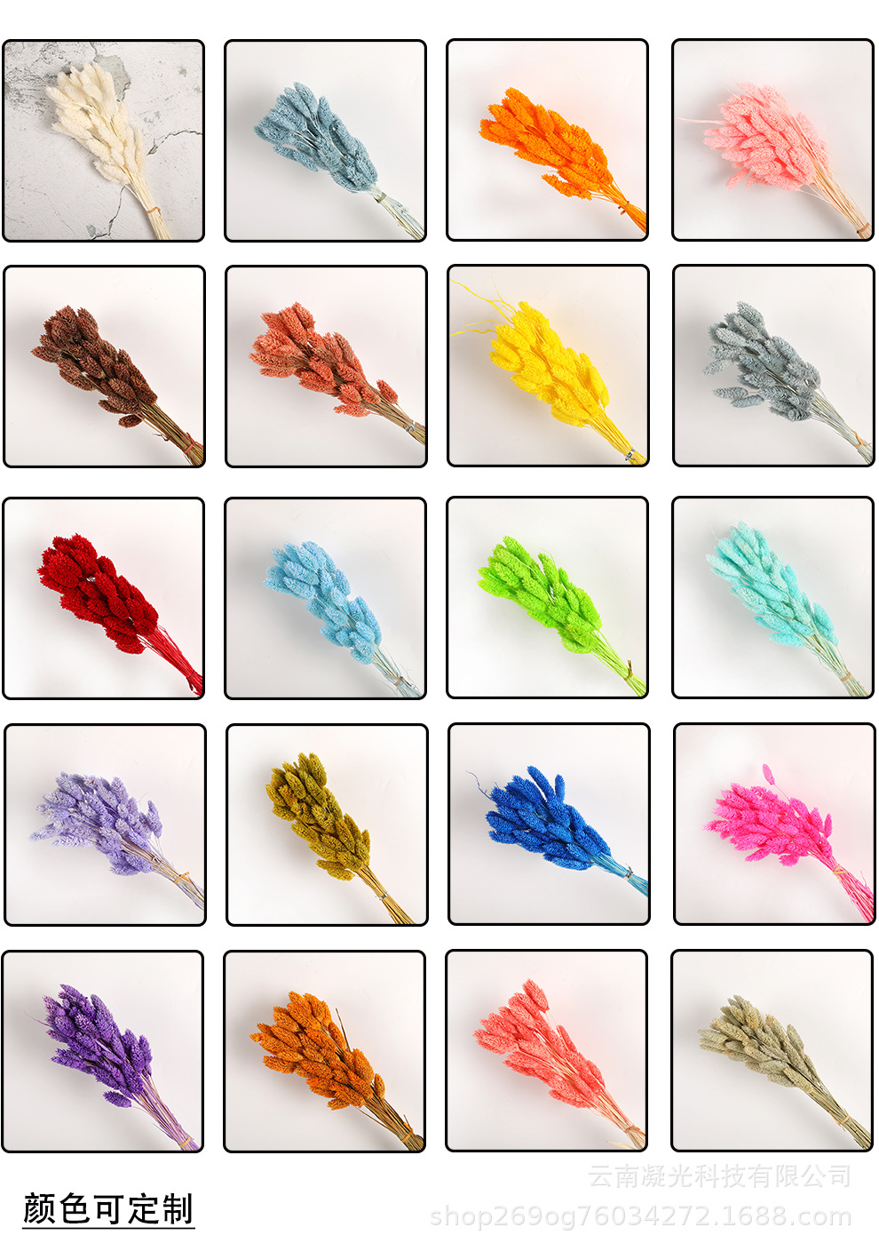 O1CN01X4F2Ja1E0rj1vO3sD_!!2216032470290-0-cib.jpg?__r__=1691042970906